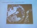 ERTH:102 Earth History 
