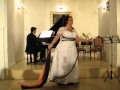 Click to View : Koncert Walentynkowy w Nadolicach Wielkich cz. I luty AD 2013