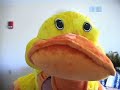 I Like Birds