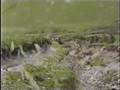 Vintage offroading from the 90's Part 2 - The river bed