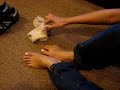 Princess Cy taking off her smelly socks...
