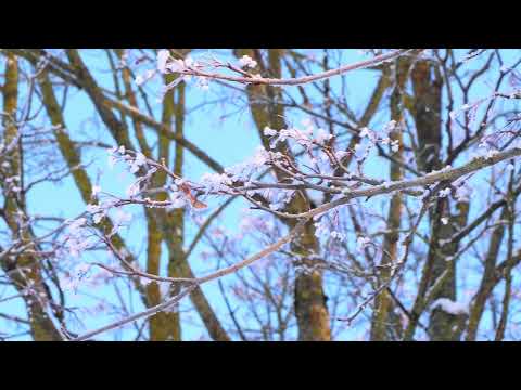 Барановичи день за днем. 02.02.26.