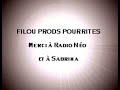 sanseverino aux 5 ans de radio n�o