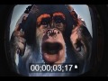 TGP MAKE ME BELIEVE IN YOU (OFFICIAL weird VIDEO) TGP MAKE ME BELIEVE IN YOU (OFFICIAL weird VIDEO)