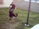Dog Tackels Kid