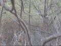 FOB Whitetail Deer Hunt 2008 FOB Whitetail Deer Hunt 2008