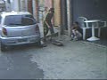 Kaique de Skate - versão final XD Kaique de Skate - versão final XD