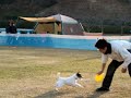 Click here to watch this video 2010-12-19 K9ディスタンス・スモールドッグ決勝