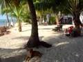 Tobacco Caye
