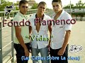 Vidas Fondo Flamenco Vidas Fondo Flamenco