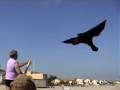 Kite attack