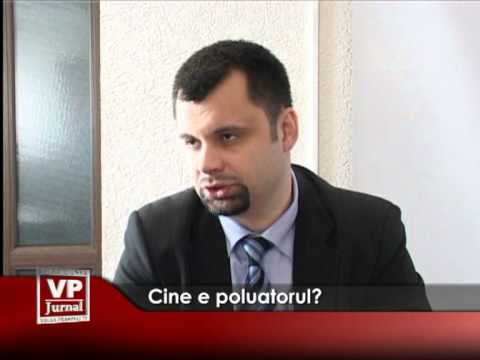 Cine e poluatorul?