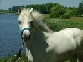 My own created movie