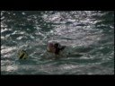 CRESPI WATER POLO 2