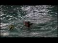 CRESPI WATER POLO 2