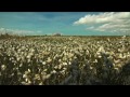 Pronkjewailtje [16-05-2012]