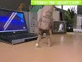 Football acrobatique aves des doigts Football acrobatique aves des doigts