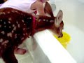 Chloe gives her friend Bambi a drink of water