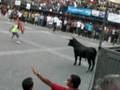 Lo cogio un toro