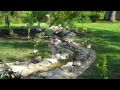 My Pond