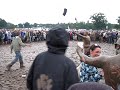 Mud Gladiators at the V Festival