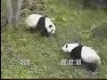 The Tian\ The Tian\