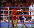 boxor furkan ulas memis 3