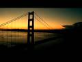 necsel video