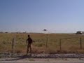 harrier low pass