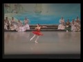 Lali Kandelaki, Angel Corella - Don Quixote Pas de deux and Coda from the Performance