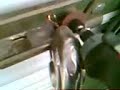 Dremel vs. hardened steel lock
