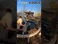 설악산 9 DOGS 안방마님 혜리는 뭘해도 귀여워! 예뻐!