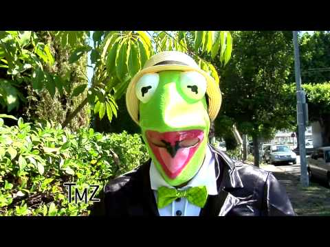 Kermit talks gay Bert and Ernie on TMZ