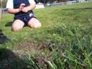 Pocket Gopher 2