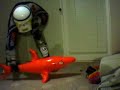 Destroying an inflatable pool toy