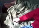 Feb 12 2008 - VID00002