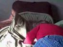 Feb 12 2008 - VID00002