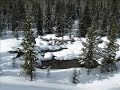 2008 Sledding Corbin B.C.