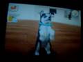 Crank-dat-Nintendog-