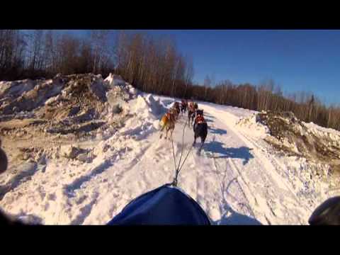 Open North American Championship Sled Dog Race Day 2