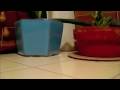 ara backwards video of 
