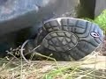 Asic Gel runner under the tyre Asic Gel runner under the tyre