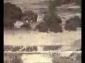 Picnic New Territories Hong Kong 1950
