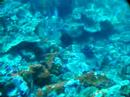 Bali sous la mer 2