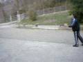 videos de Baseball