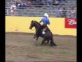 gb web em 2003.wmv