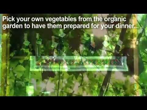 Vidéo sur Bokun Guesthouse