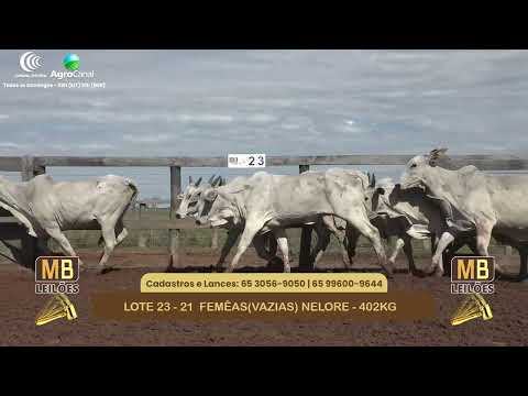 552� LEIL�O VIRTUAL MB LEIL�ES