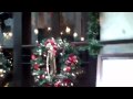 Unnatural Habitat: Barbadians in NYC in Winter