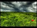 RITA CONNOLLY - TODAVIA CANTAMOS